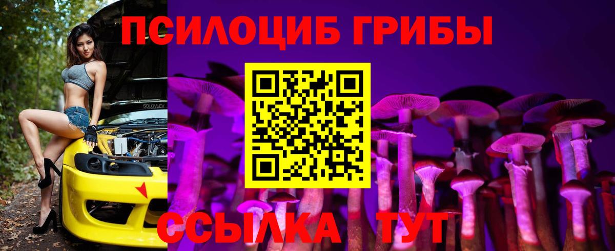 Галлюциногенные грибы мухоморы Братск