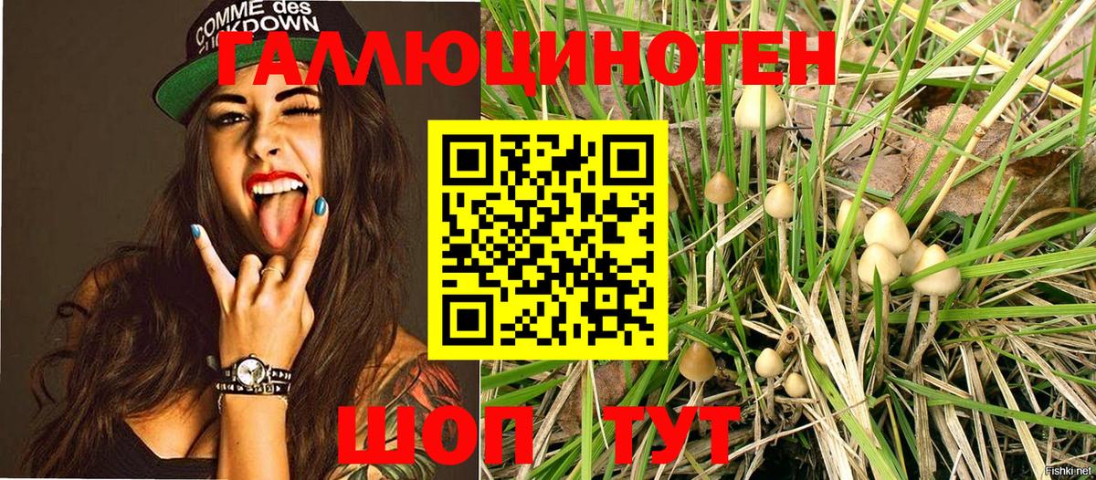 Псилоцибиновые грибы MAGIC MUSHROOMS  Вход с VPN  Братск 